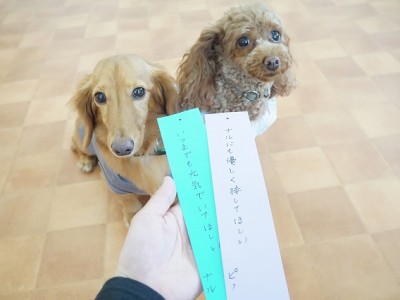 授業の様子♪ 83のサムネイル