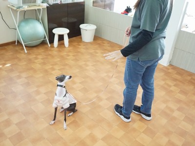 授業の様子♪ 86のサムネイル