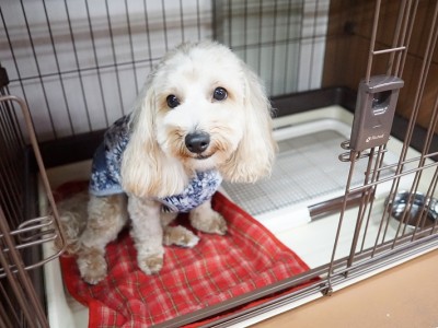 授業の様子♪ 87のサムネイル