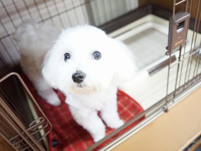 授業の様子♪ 85のサムネイル