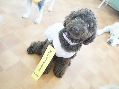 授業の様子♪ 87のサムネイル