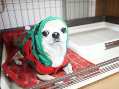 授業の様子♪ 86のサムネイル