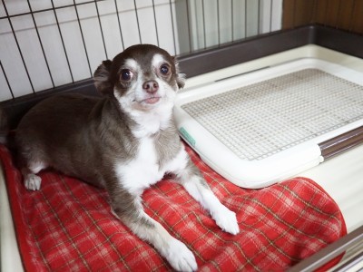 授業の様子♪ 84のサムネイル