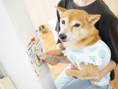 授業の様子♪ 83のサムネイル