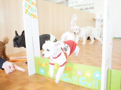 授業の様子♪ 81のサムネイル