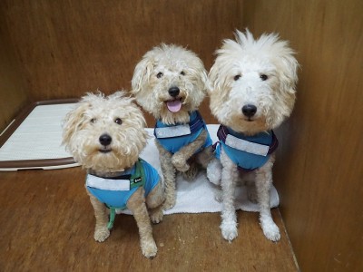 授業の様子♪ 90のサムネイル