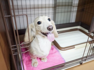 授業の様子♪ 83のサムネイル