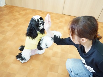 授業の様子♪ 88のサムネイル