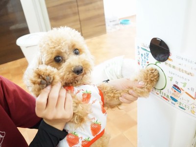 授業の様子♪ 85のサムネイル