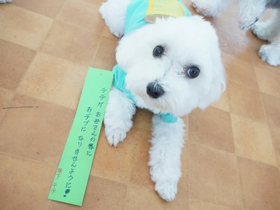 授業の様子♪ 84のサムネイル