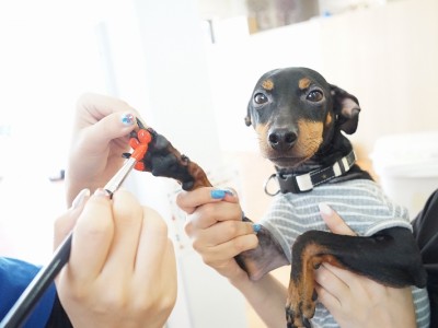 授業の様子♪ 84のサムネイル