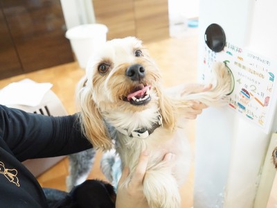 授業の様子♪ 81のサムネイル