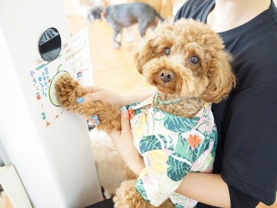 授業の様子♪ 89のサムネイル