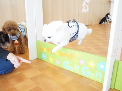 授業の様子♪ 82のサムネイル