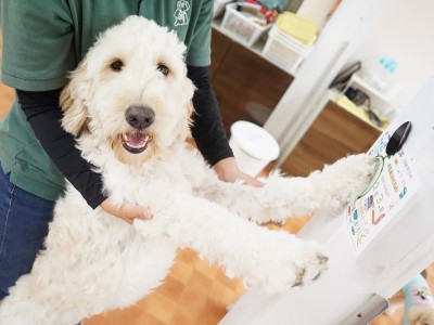 授業の様子♪ 88のサムネイル