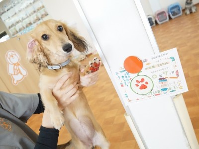 授業の様子♪ 86のサムネイル