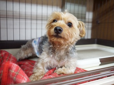 授業の様子♪ 89のサムネイル