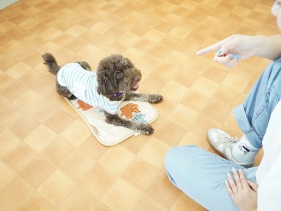 授業の様子♪ 81のサムネイル