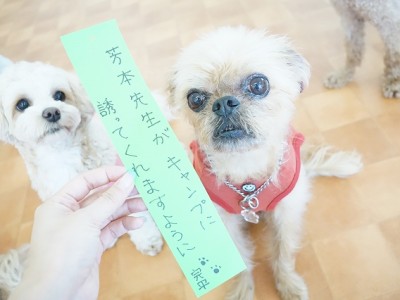 授業の様子♪ 82のサムネイル