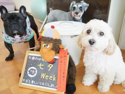 授業の様子♪ 81のサムネイル