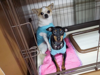 授業の様子♪ 82のサムネイル