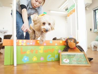 授業の様子♪ 86のサムネイル