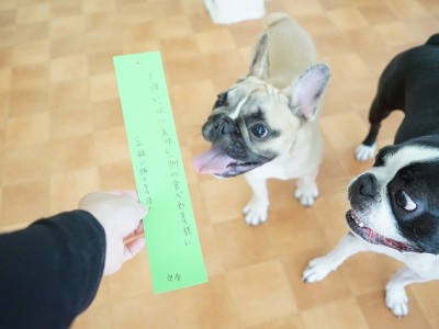 授業の様子♪ 86のサムネイル