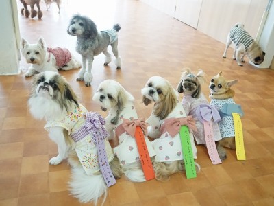 授業の様子♪ 90のサムネイル