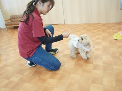 授業の様子♪ 90のサムネイル