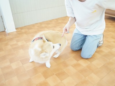 授業の様子♪ 82のサムネイル