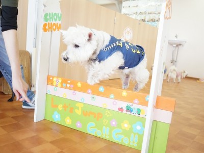 授業の様子♪ 83のサムネイル