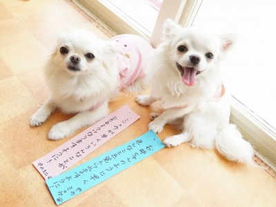 授業の様子♪ 88のサムネイル