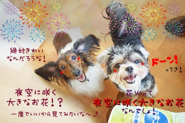 夏を満喫して行こう＼(^o^)／