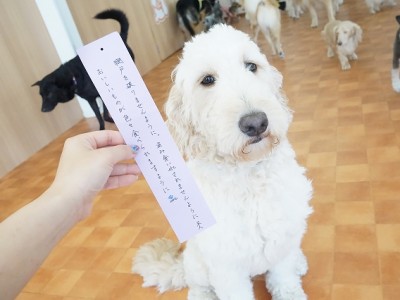 授業の様子♪ 85のサムネイル