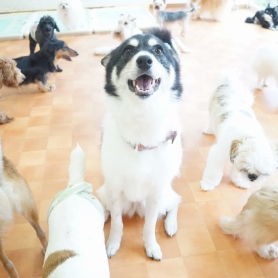 今までの思い出 【91】