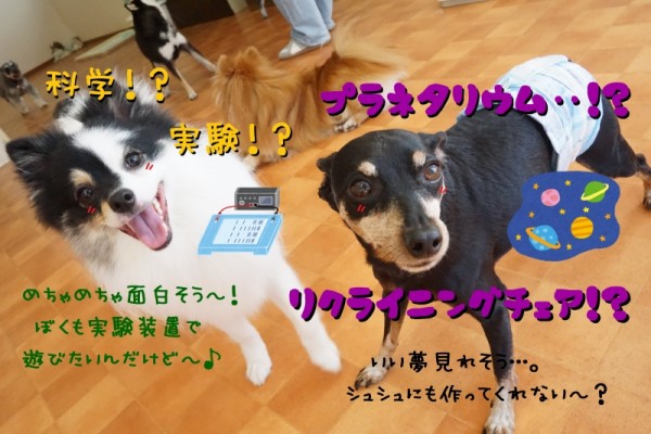 新しい体験を沢山していこう(^_-)-☆