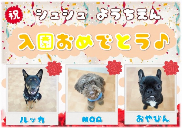 幼稚園新入生のお知らせ ~Vol.96~