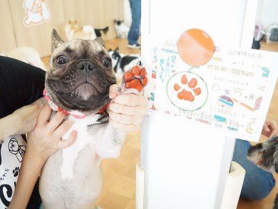 授業の様子♪ 82のサムネイル