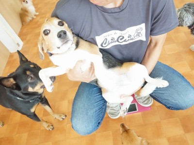 授業の様子♪ 86のサムネイル