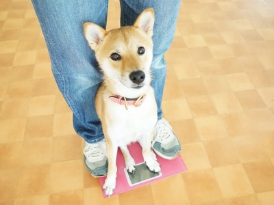 授業の様子♪ 84のサムネイル