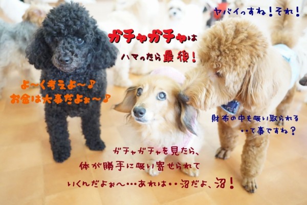 何事も程々に！が大事(^_-)-☆