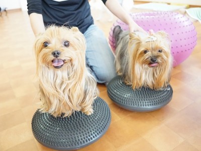 授業の様子♪ 83のサムネイル