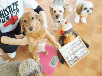 授業の様子♪ 81のサムネイル