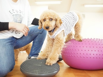 授業の様子♪ 85のサムネイル