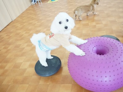 授業の様子♪ 86のサムネイル