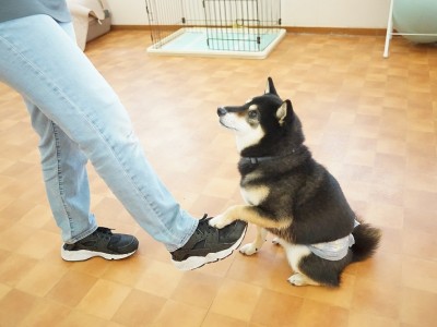 授業の様子♪ 81のサムネイル