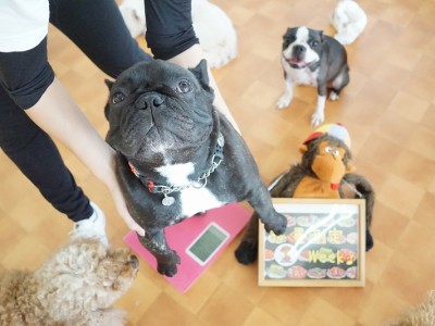 授業の様子♪ 82のサムネイル