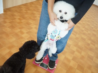 授業の様子♪ 90のサムネイル