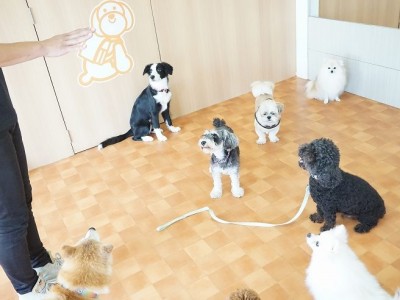 授業の様子♪ 82のサムネイル