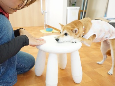 授業の様子♪ 89のサムネイル